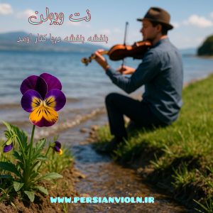 نت ویولن بنفشه بنفشه دریا کنار اومد