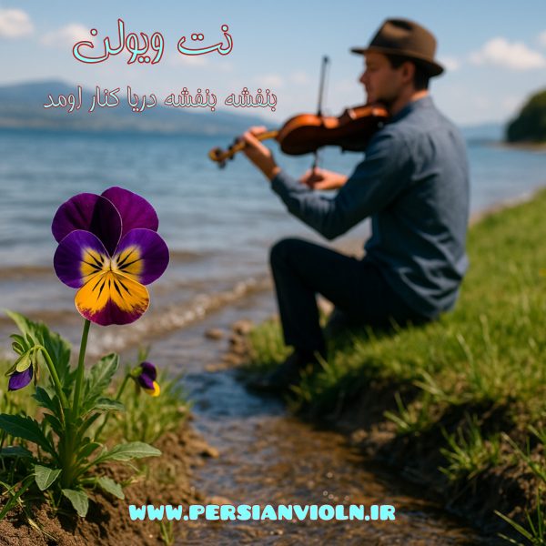 نت ویولن بنفشه بنفشه دریا کنار اومد