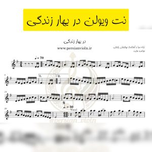 نت ویولن در بهار زندگی